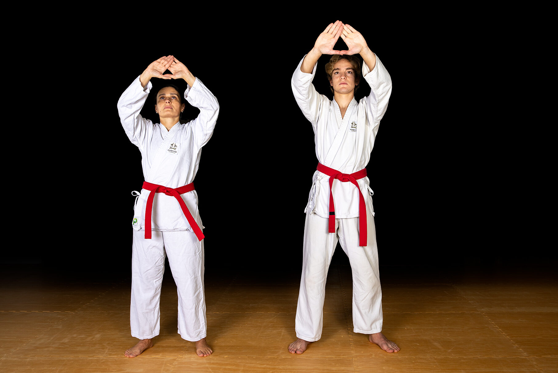 Formen im traditionellen Taekwondo